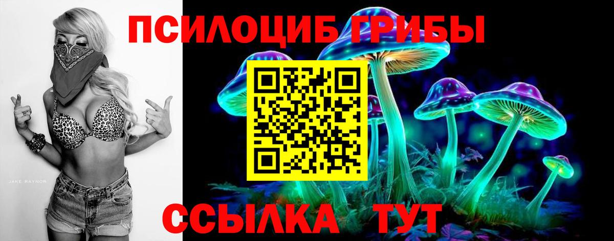 Галлюциногенные грибы прущие грибы  Вход с VPN  Гурьевск 